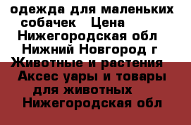 одежда для маленьких собачек › Цена ­ 100 - Нижегородская обл., Нижний Новгород г. Животные и растения » Аксесcуары и товары для животных   . Нижегородская обл.